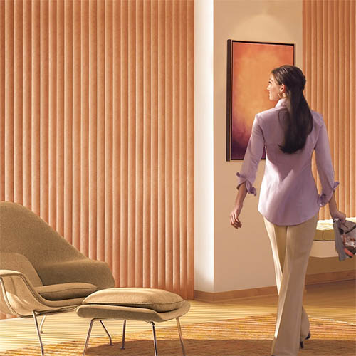 Vertical Blinds by Carmita's Window Coverings